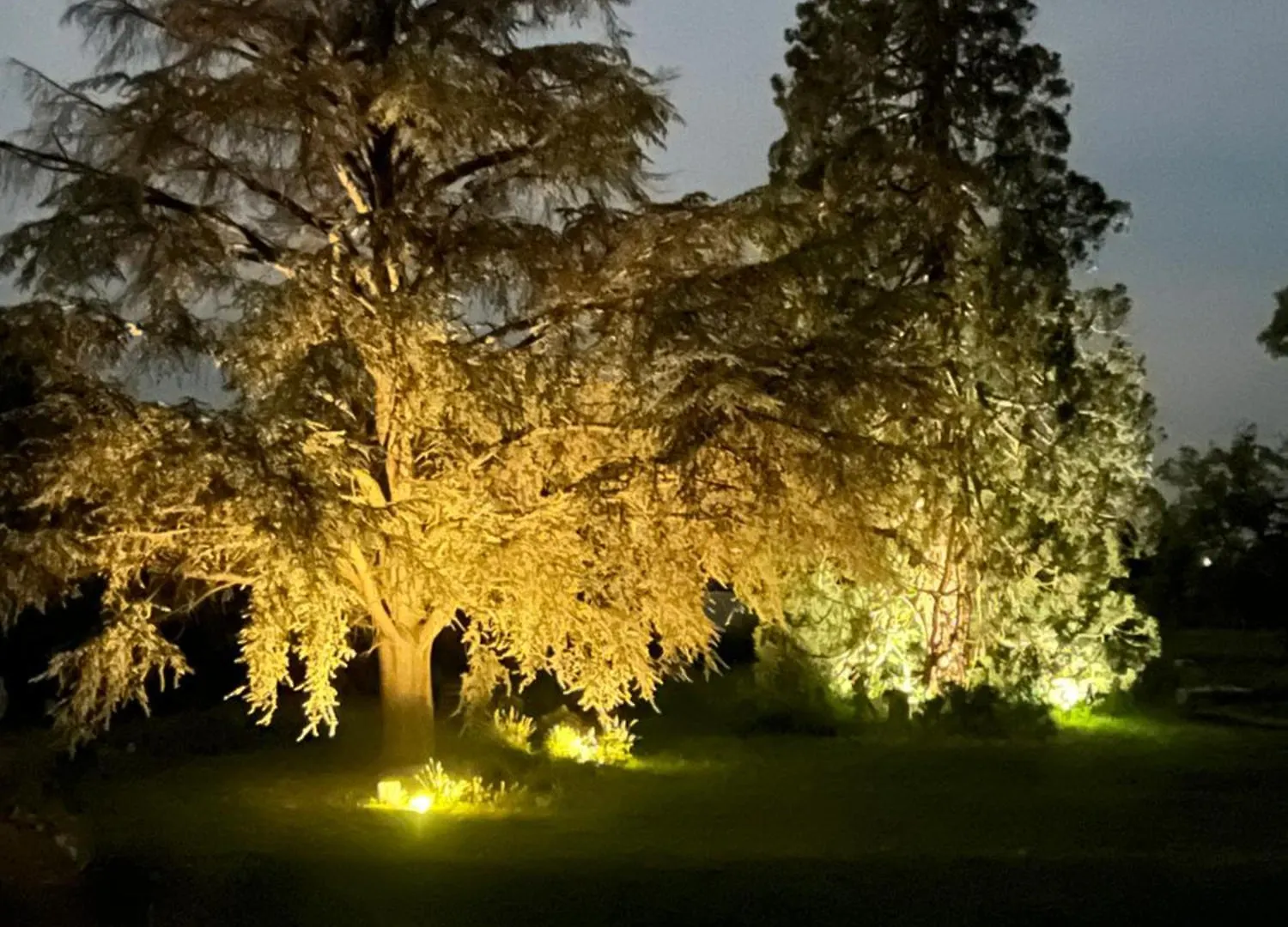 Bed & Breakfast Chateau Camus Montmarault